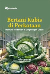 Image of Bertani kubis di perkotaan