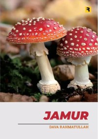 Image of Jamur