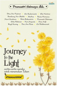 Image of Journey to the light